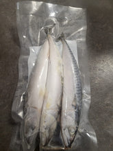 Load image into Gallery viewer, Frozen Joey Mackerel (3-4 Per Pack) – Silvery Oily Hookbait