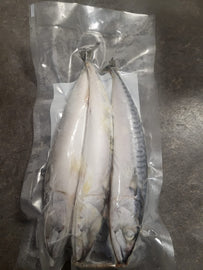 Frozen Joey Mackerel (3-4 Per Pack) – Silvery Oily Hookbait