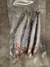 Load image into Gallery viewer, Frozen Cornish Caught Anchovies – Fresh Hookbait for Lure Rigs