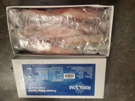 Frozen Royal Star Dirty Squid 1lb – Unwashed Loligo Sea Bait