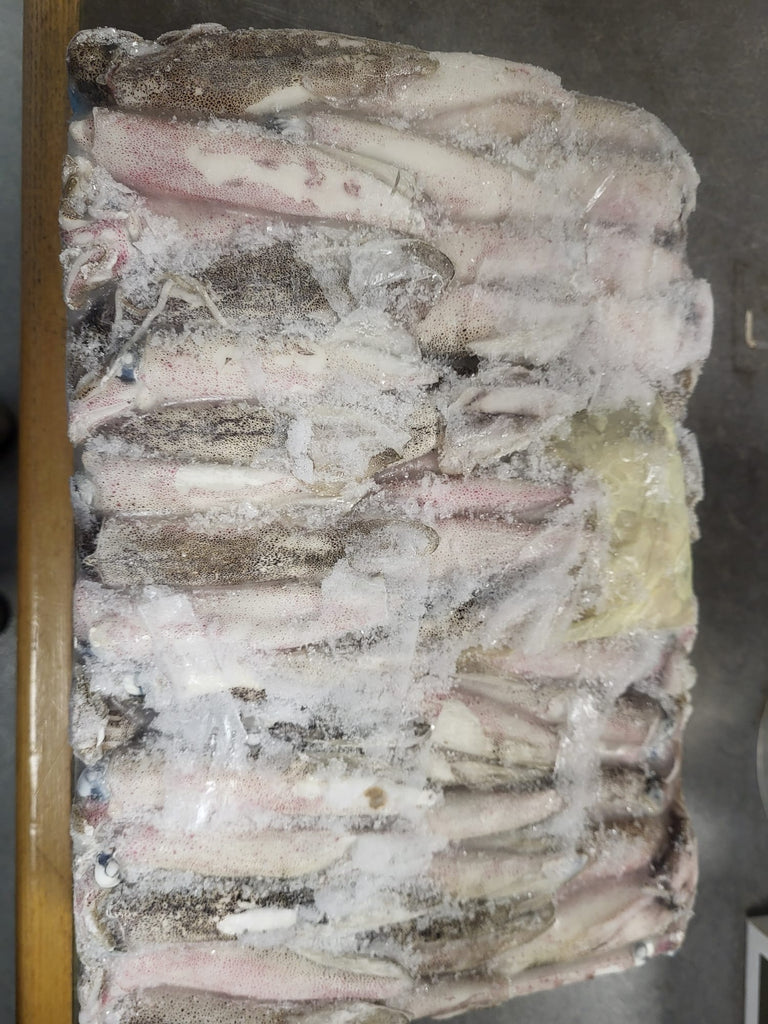 Frozen Dirty Squid Bait 5kg – Bulk Loligo for Serious Anglers
