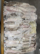 Load image into Gallery viewer, Frozen Dirty Squid Bait 5kg – Bulk Loligo for Serious Anglers