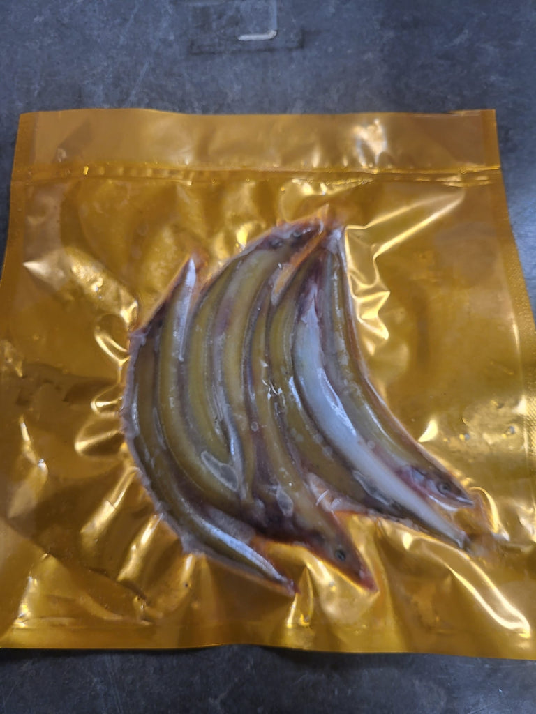 Frozen Small Packs of Sandeel – Mixed Sizes, High Oil Content