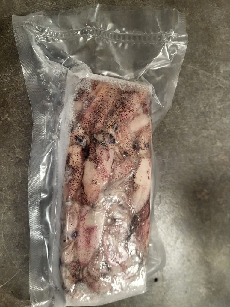 Frozen Party Squid Bait 1lb – Compact Unwashed Loligo Bait