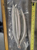 Large Launce – Whole Frozen Bait (Size & Qty Vary)