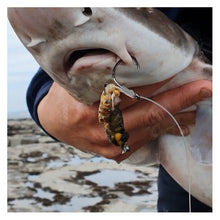 Load image into Gallery viewer, Varivas Full Circle Fishing Hooks – Dongle Rig Lip Hooking